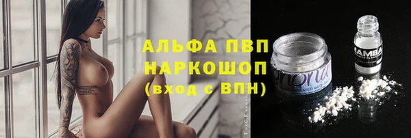 ECSTASY Гусь-Хрустальный