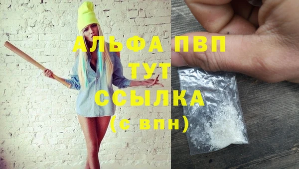 Альфа ПВП Горно-Алтайск