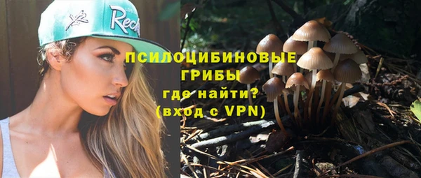 прущая мука Горняк