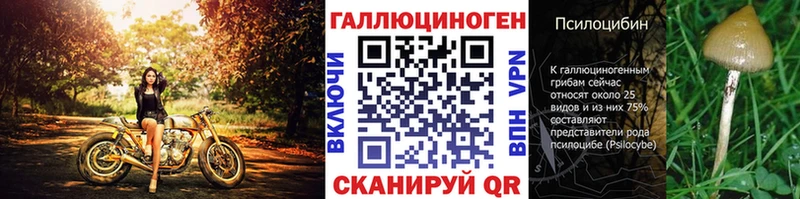 Купить закладки  Качканар  Галлюциногенные грибы Cubensis 