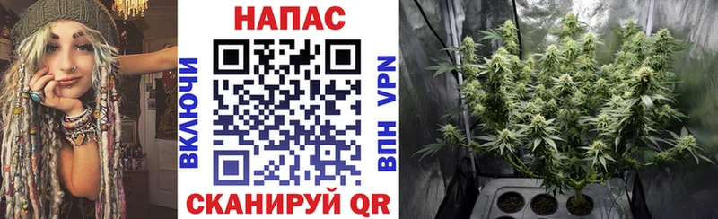 МАРИХУАНА планчик  Купить закладки  Качканар 